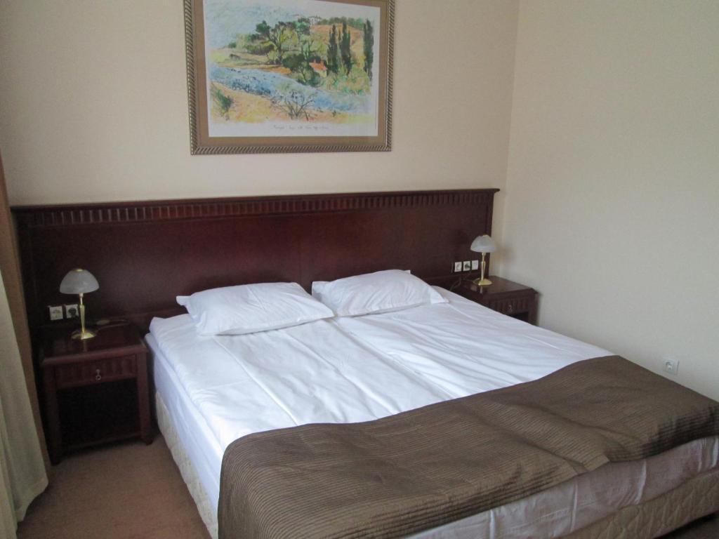 Downtown Alexander Services Apartments Bansko Cameră foto