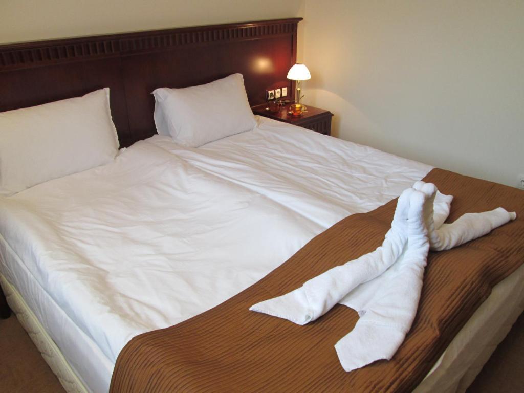 Downtown Alexander Services Apartments Bansko Cameră foto